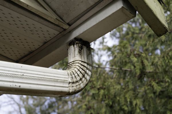 Cost of Roof Drain Replacement in Pawleys Island