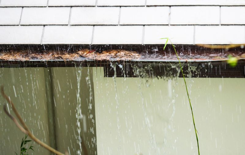 Clogged Gutter Removal